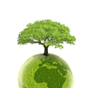 Greenweez.com, le business rentable de l'écolo-bio-bien-être