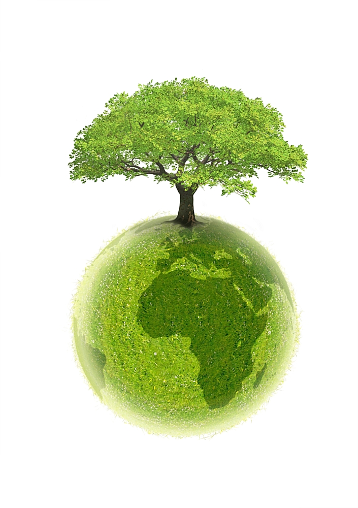 Innovation écologique L'Arbre vert : 4 nouveaux produits écolos