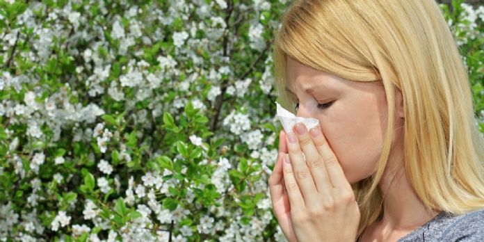 Amazon lance une boutique en ligne pour les personnes souffrant d'allergies