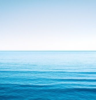 Small business : Océan bleu : une stratégie payante pour les PME