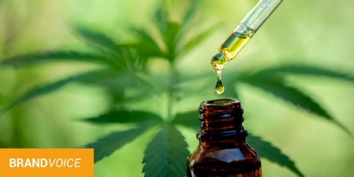 Le boom du marché du CBD en ligne