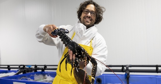 Poiscaille lève 8 millions d'investissement auprès d'Arkéa Capital et d'IDIA Capital