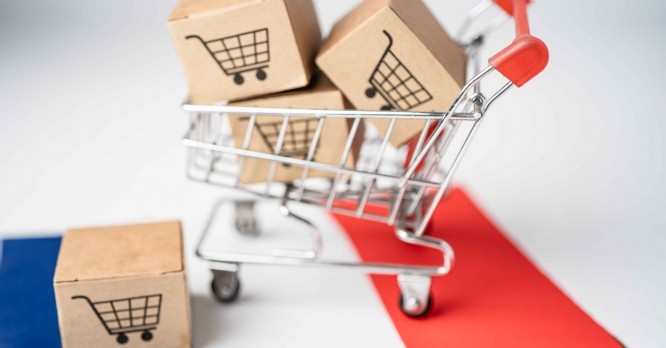 Box with shopping cart logo and France flag, Import Export Shopping online or eCommerce finance delivery service store product shipping, trade, supplier concept.