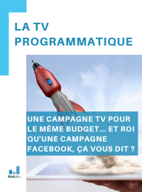 Couverture La TV programmatique pour mener sa première campagne TV avec un budget limité