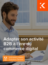 Couverture Adapter son activité B2B à l’ère du commerce digital