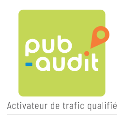 Pub Audit
